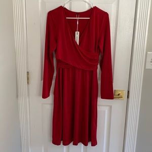Pregnancy/Nursing Dress in Stunning Scarlett